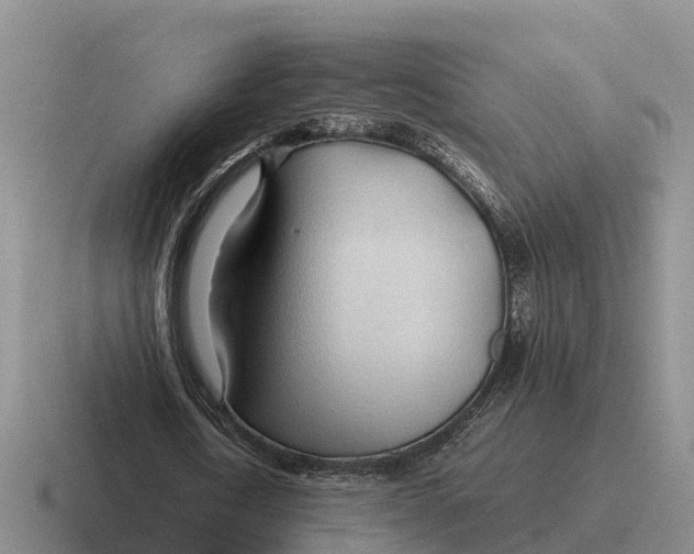 X0000116680722201001041148