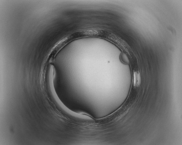 X0000116680723201001041148