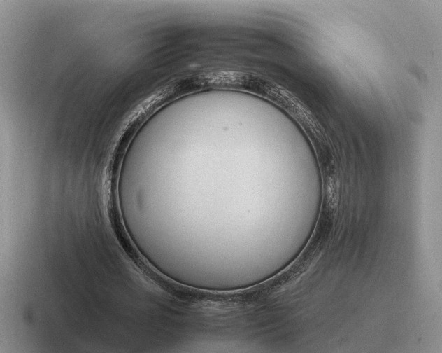 X0000116680725201001041148