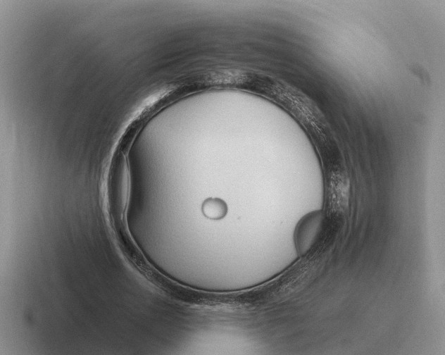 X0000116680726201001041148