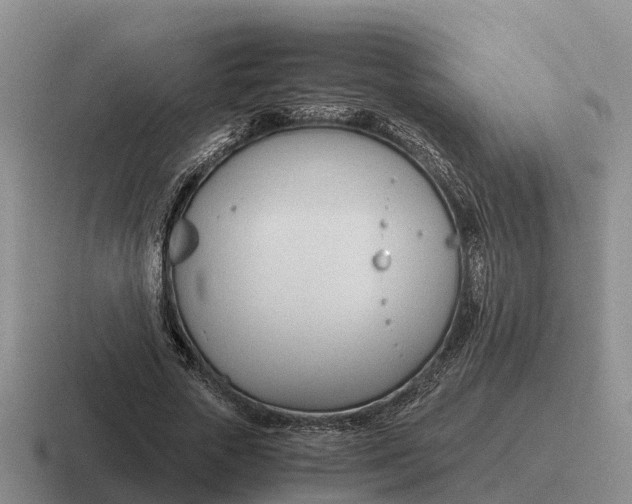 X0000116680729201001041148