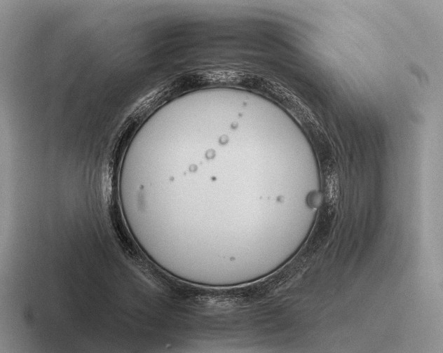 X0000116680733201001041148