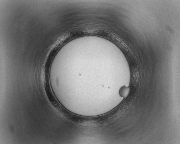 X0000116680734201001041148