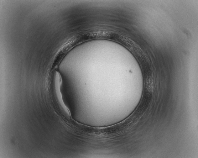 X0000116680735201001041148