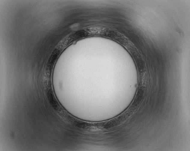 X0000116680737201001041148