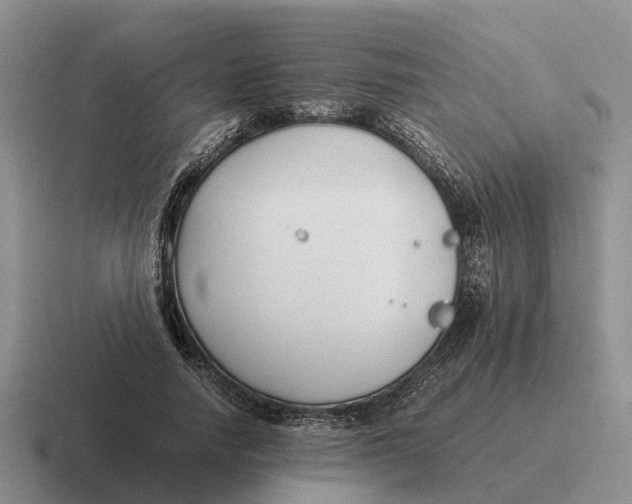 X0000116680738201001041148