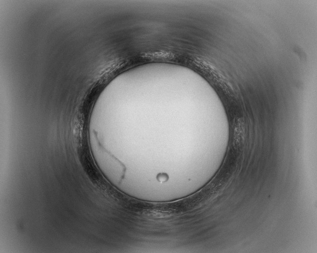 X0000116680739201001041148