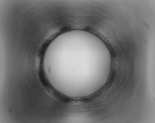 X0000116680742201001041148