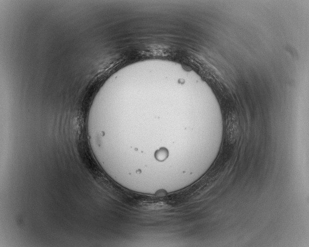 X0000116680747201001041148