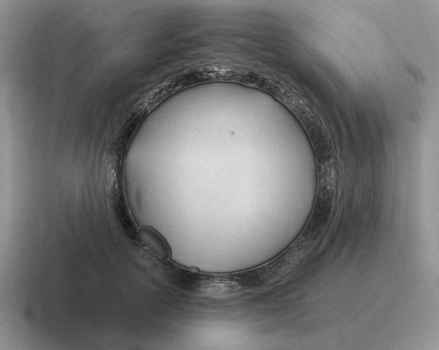 X0000116680754201001041148