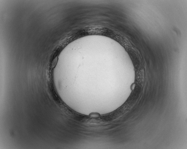 X0000116680755201001041148