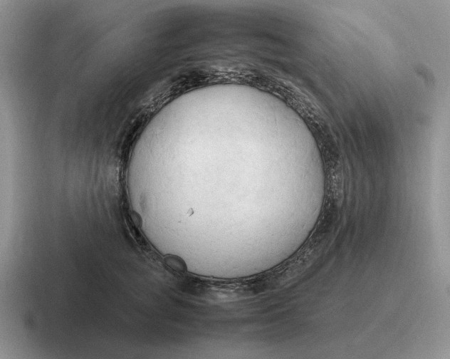 X0000116680757201001041148