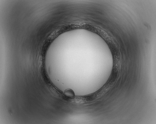 X0000116680758201001041148