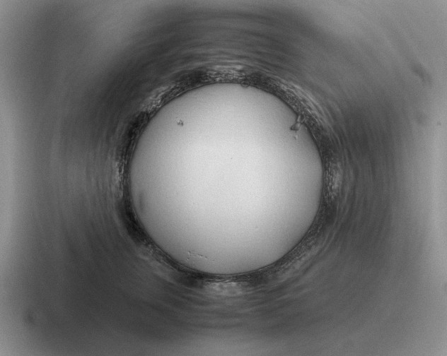 X0000116680759201001041148