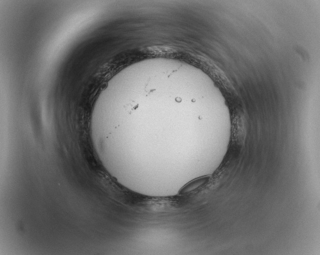 X0000116680762201001041148