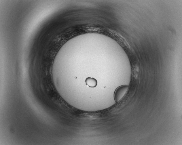 X0000116680763201001041148