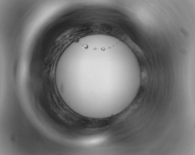 X0000116680765201001041148