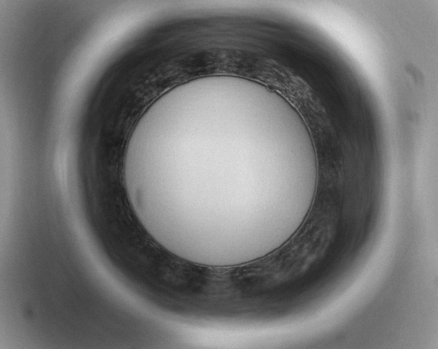 X0000116680766201001041149