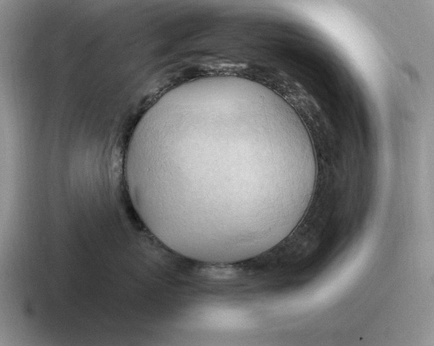 X0000116680767201001041149