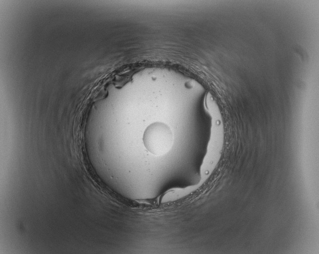 X0000116680769201001041148