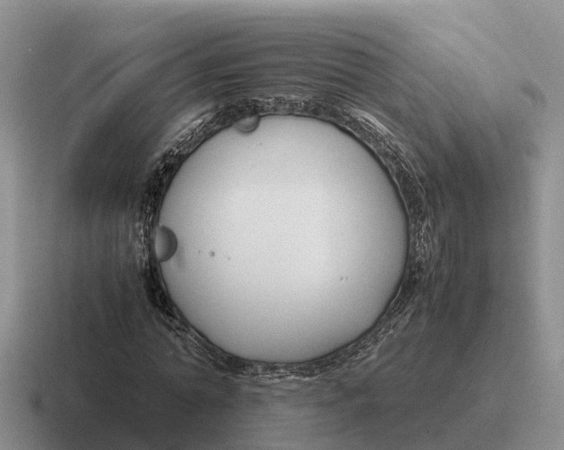 X0000116680774201001041148