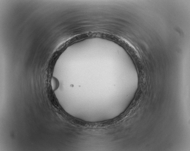 X0000116680775201001041148