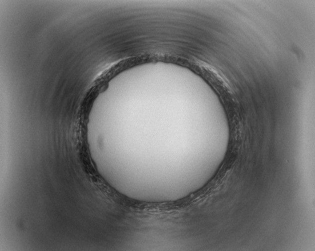 X0000116680776201001041148