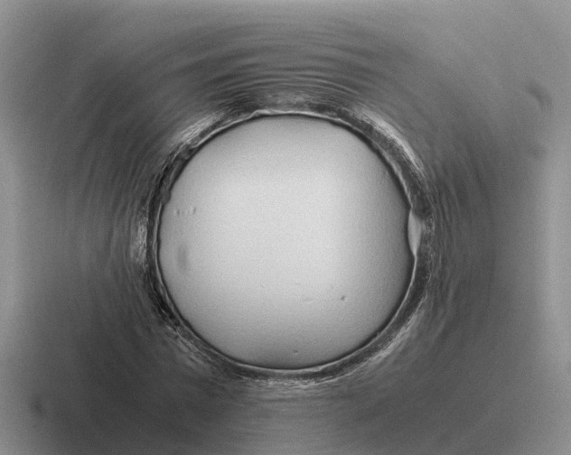 X0000116680777201001041148