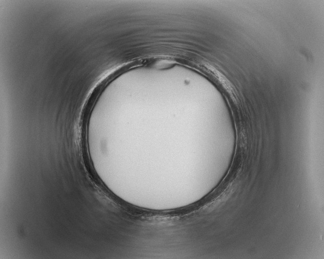 X0000116680779201001041148