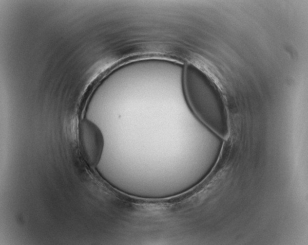 X0000116680781201001041148