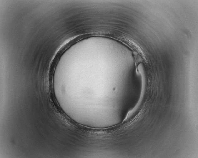 X0000116680784201001041148