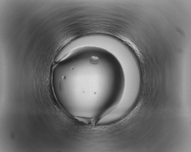 X0000116680785201001041148