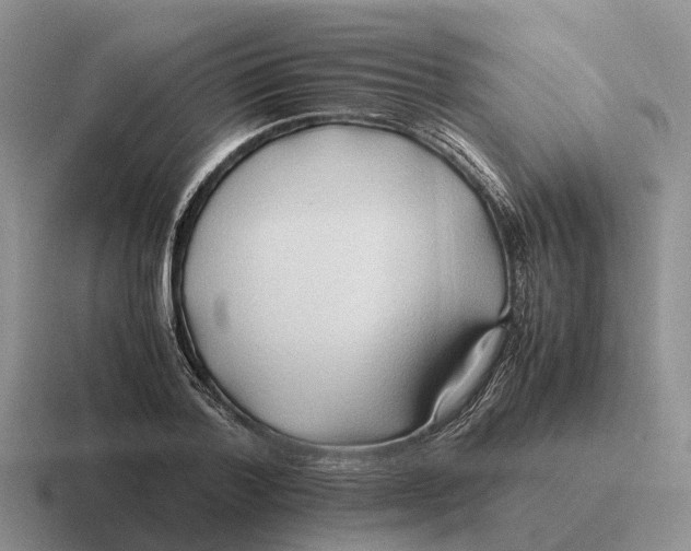 X0000116680788201001041148