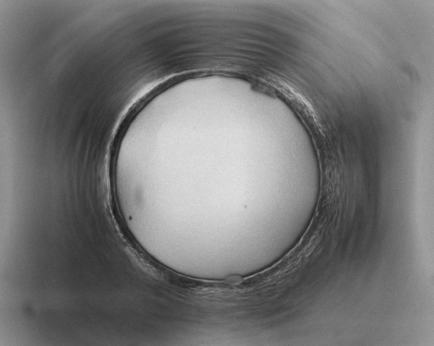 X0000116680792201001041148