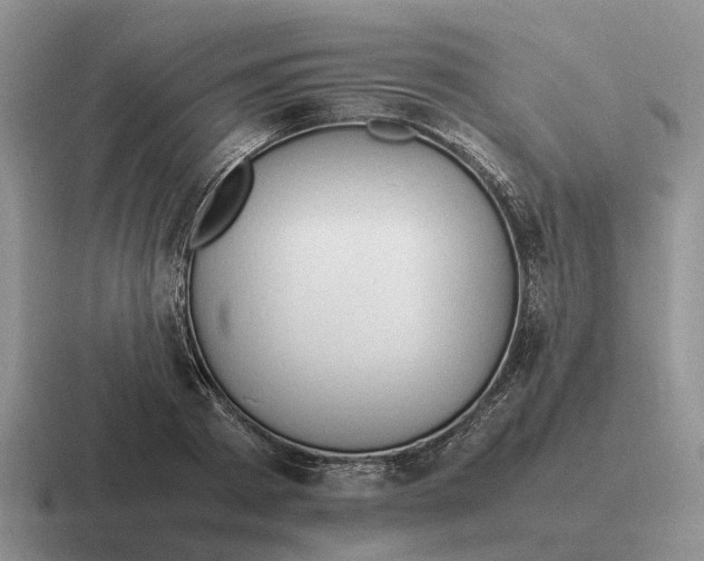 X0000116680793201001041148