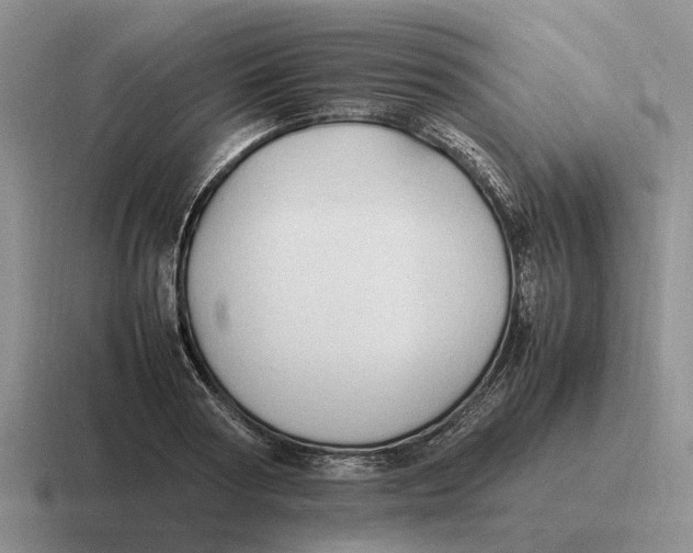 X0000116680794201001041148