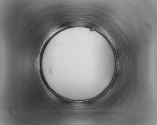 X0000116680795201001041148