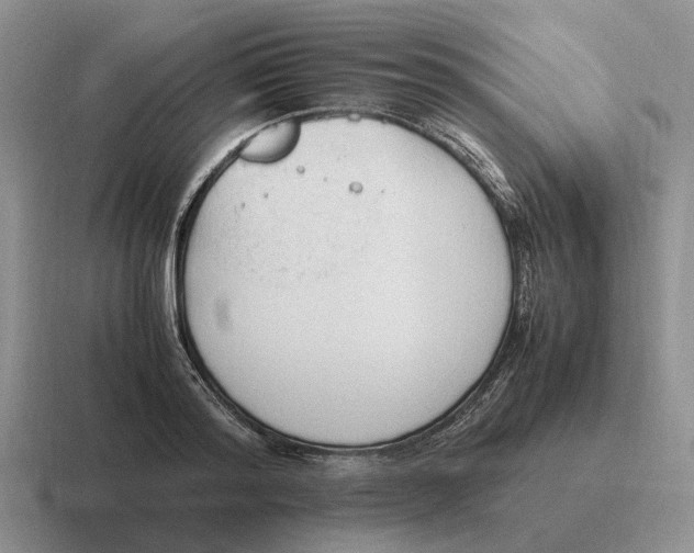 X0000116680796201001041148