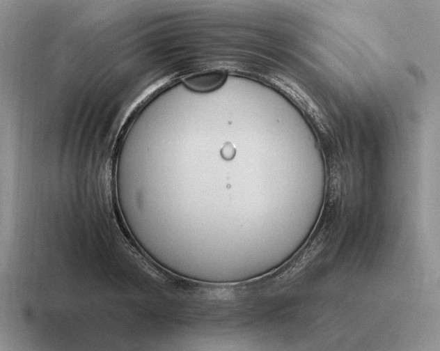 X0000116680798201001041148