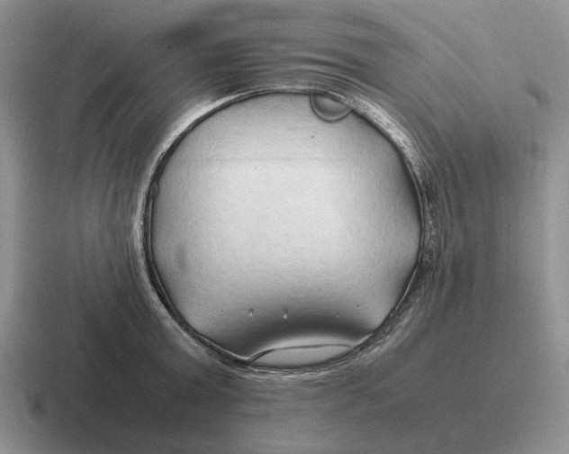 X0000116680803201001041148