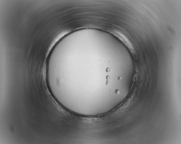 X0000116680804201001041147