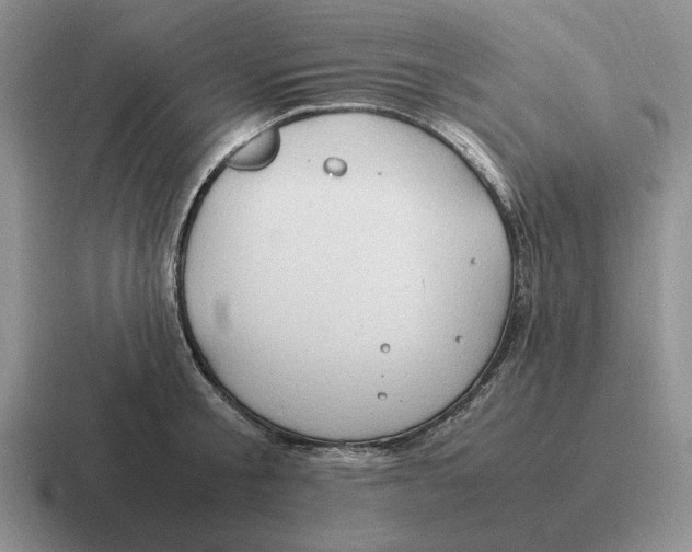 X0000116680805201001041147