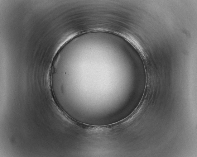 X0000116680806201001041147