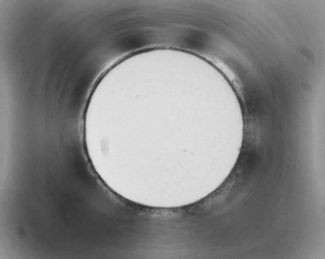 X0000116680807201001041147