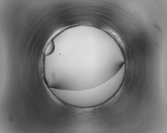 X0000116680808201001041147