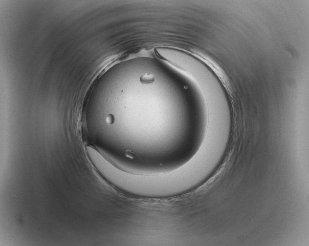 X0000116680809201001041147