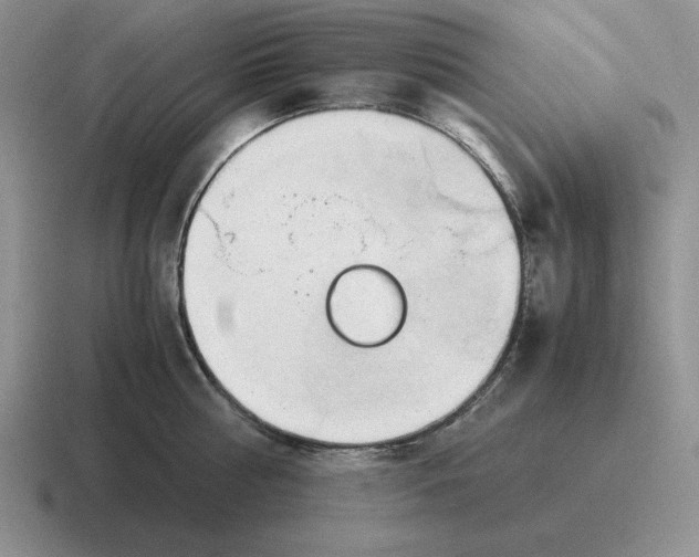 X0000116680810201001041147