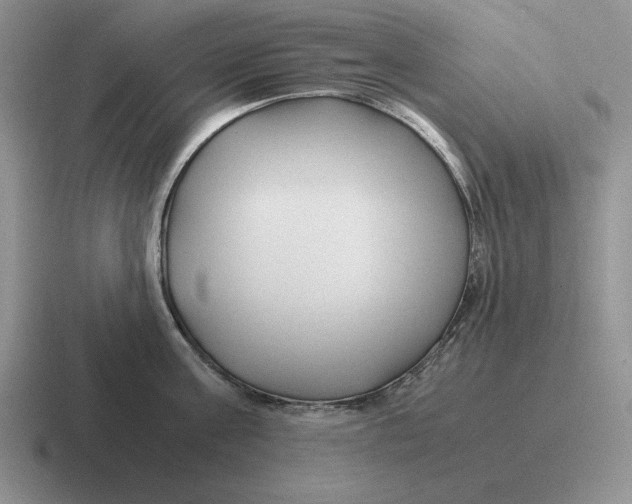 X0000116680811201001041147