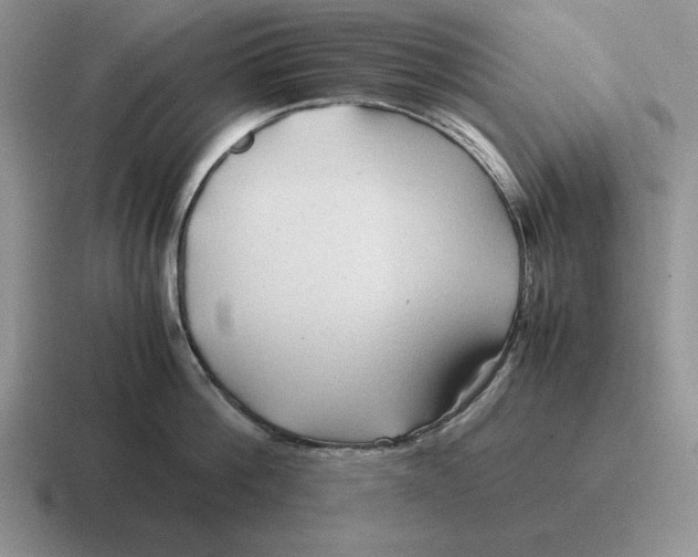 X0000116680812201001041147