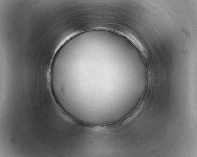 X0000116680814201001041147